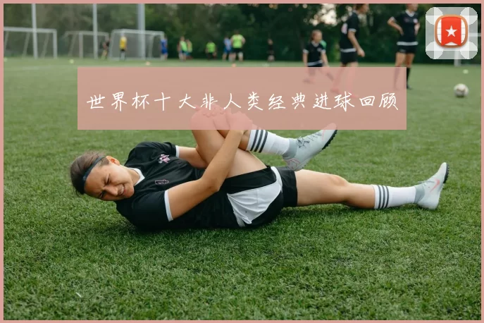 世界杯十大非人类经典进球回顾