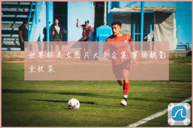 世界杯美女图片大全合集 赛场靓影全收录