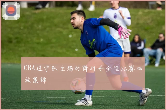 CBA辽宁队主场对阵对手全场比赛回放集锦