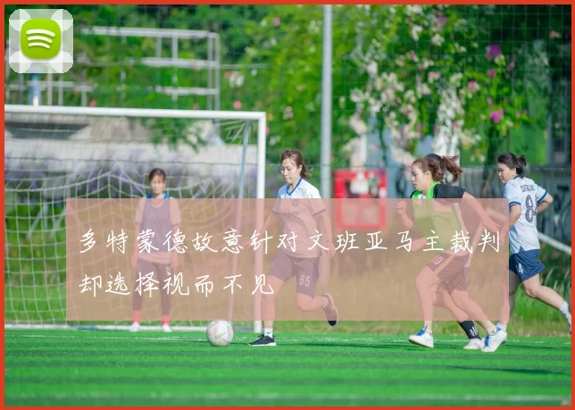 多特蒙德故意针对文班亚马主裁判却选择视而不见