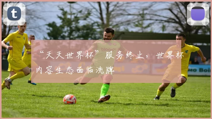 “天天世界杯”服务终止,世界杯内容生态面临洗牌