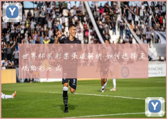 世界杯买彩票渠道解析 如何选择正规购彩方式