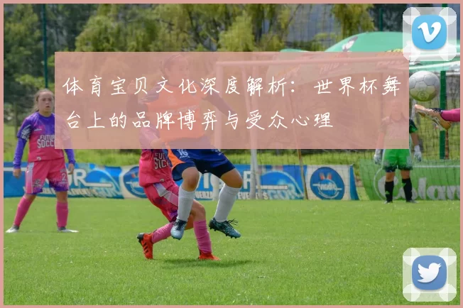体育宝贝文化深度解析:世界杯舞台上的品牌博弈与受众心理
