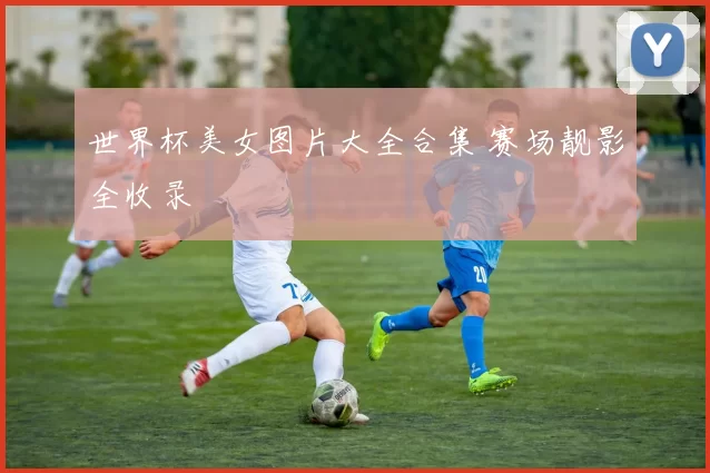 世界杯美女图片大全合集 赛场靓影全收录