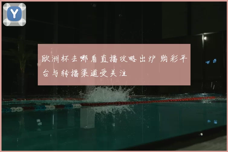 欧洲杯去哪看直播攻略出炉 购彩平台与转播渠道受关注