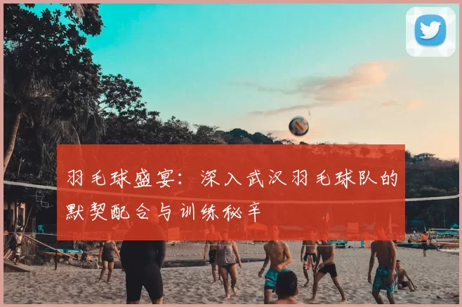 羽毛球盛宴：深入武汉羽毛球队的默契配合与训练秘辛