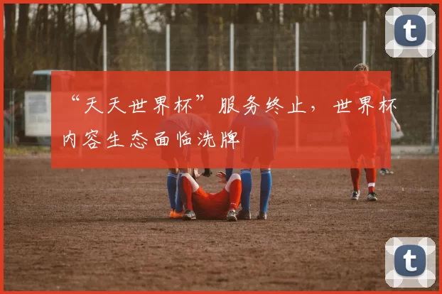 “天天世界杯”服务终止,世界杯内容生态面临洗牌