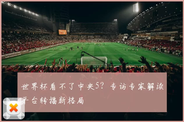 世界杯看不了中央5?专访专家解读平台转播新格局