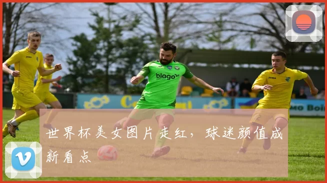 世界杯美女图片走红,球迷颜值成新看点