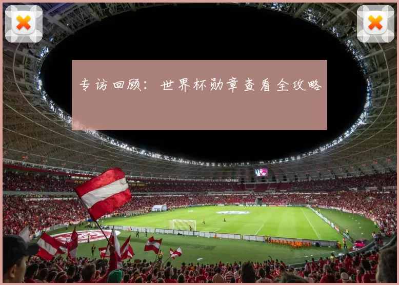 专访回顾：世界杯勋章查看全攻略