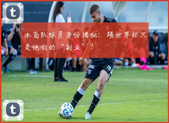 冰岛队球员身份揭秘：踢世界杯只是他们的“副业”？