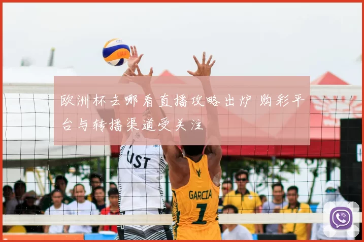 欧洲杯去哪看直播攻略出炉 购彩平台与转播渠道受关注