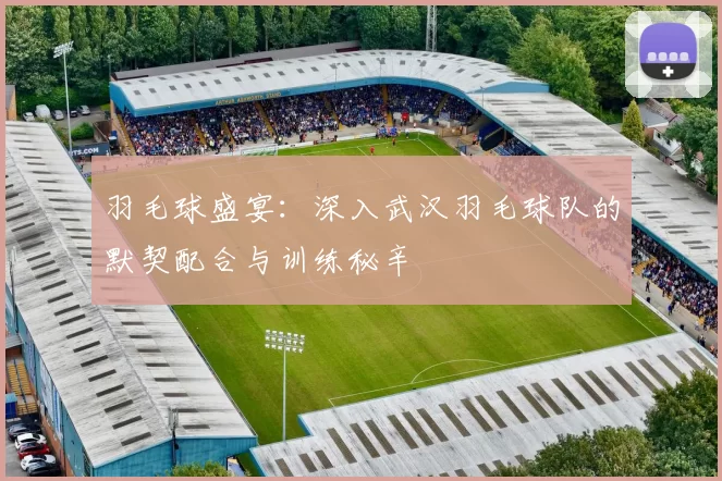 羽毛球盛宴：深入武汉羽毛球队的默契配合与训练秘辛