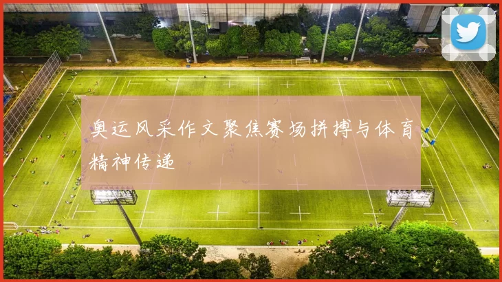 奥运风采作文聚焦赛场拼搏与体育精神传递