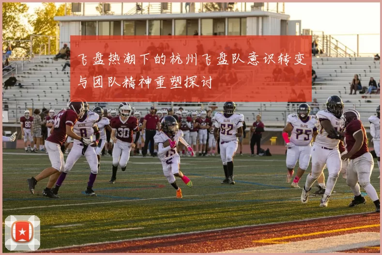 飞盘热潮下的杭州飞盘队意识转变与团队精神重塑探讨
