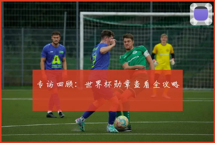专访回顾：世界杯勋章查看全攻略