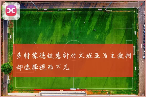 多特蒙德故意针对文班亚马主裁判却选择视而不见