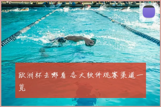欧洲杯去哪看 各大软件观赛渠道一览