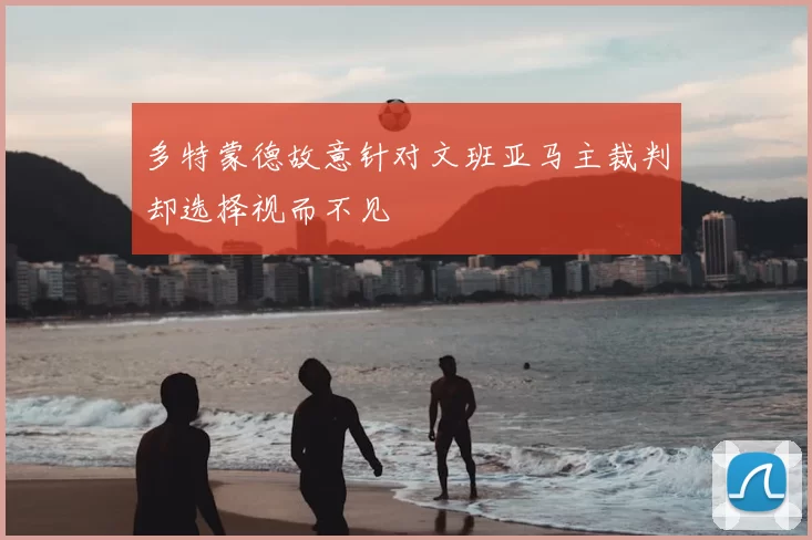 多特蒙德故意针对文班亚马主裁判却选择视而不见