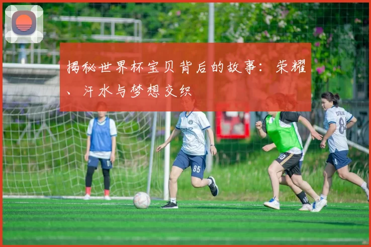 揭秘世界杯宝贝背后的故事：荣耀、汗水与梦想交织